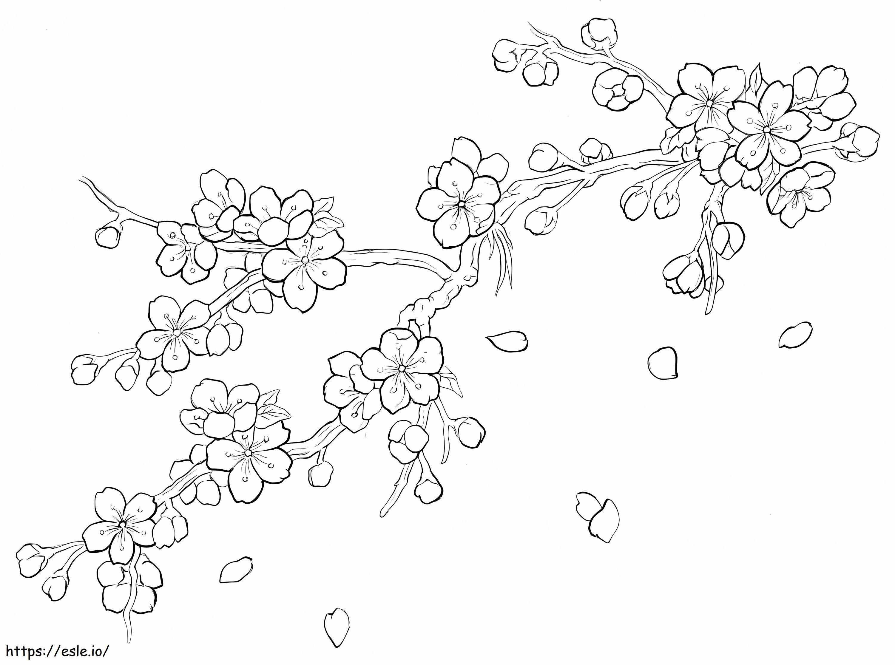 Coloriage Fleur de cerisier imprimable à imprimer dessin