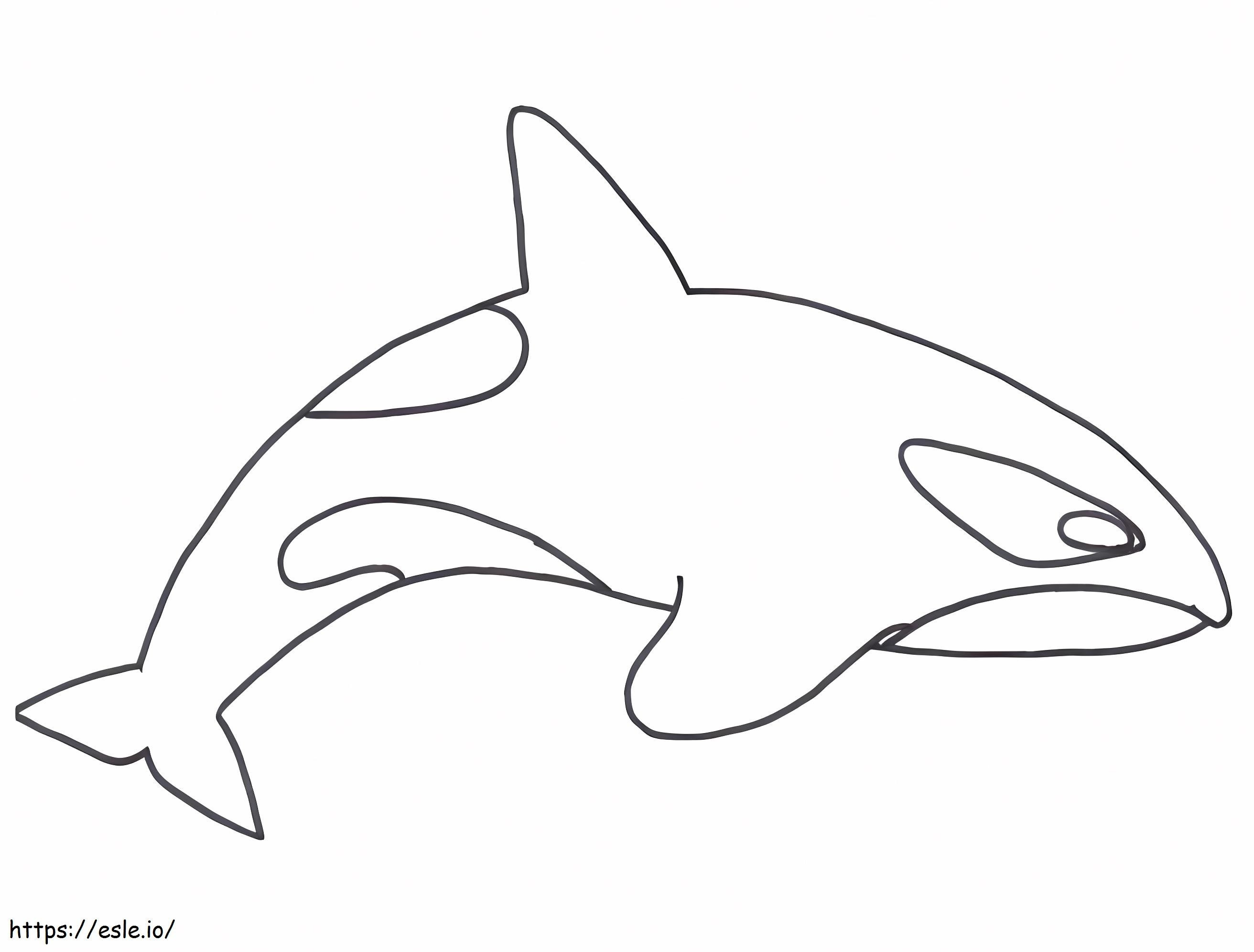 Killer Whale nyomtatható kifestő