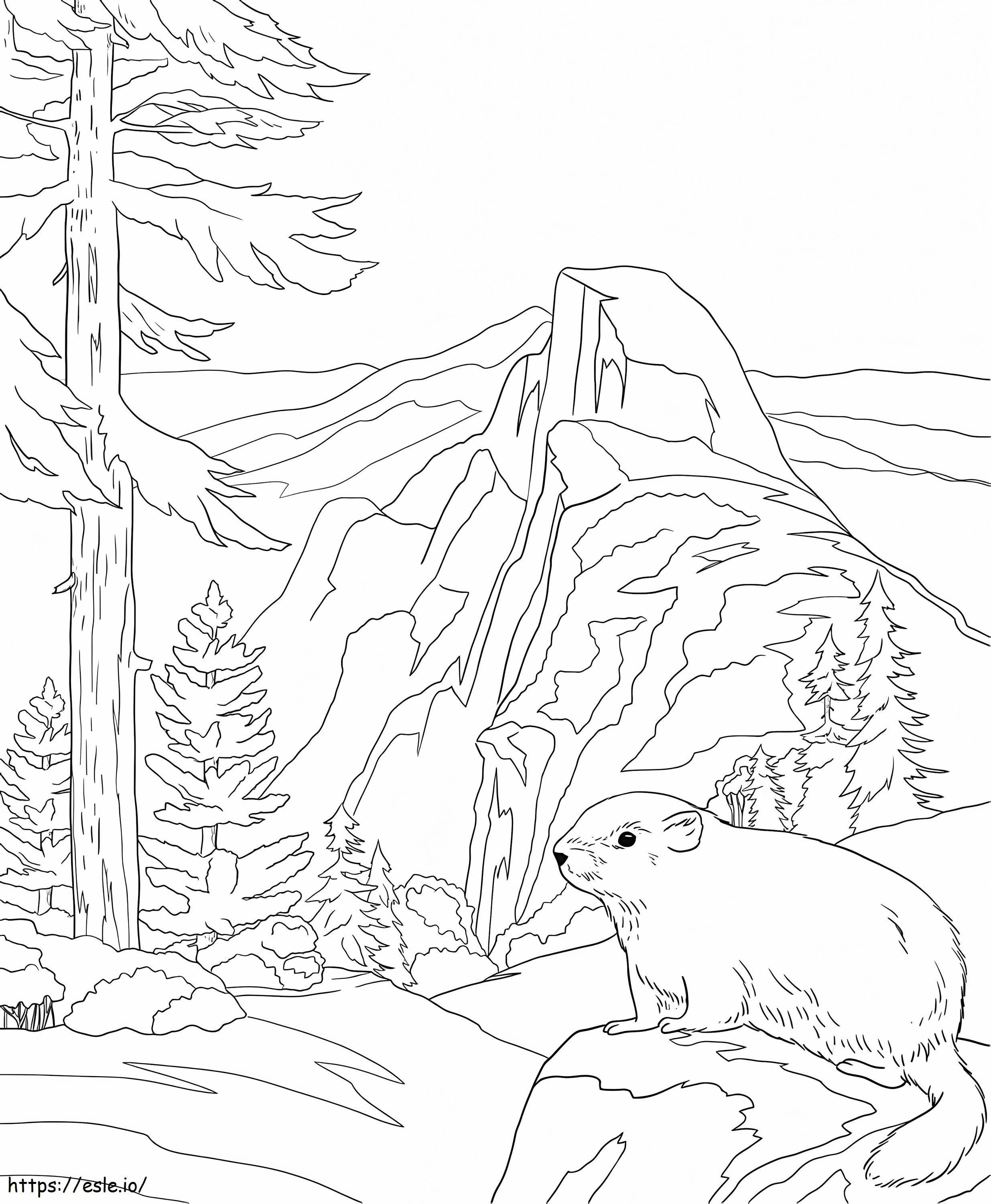 Coloriage Parc National de Yosemite à imprimer dessin