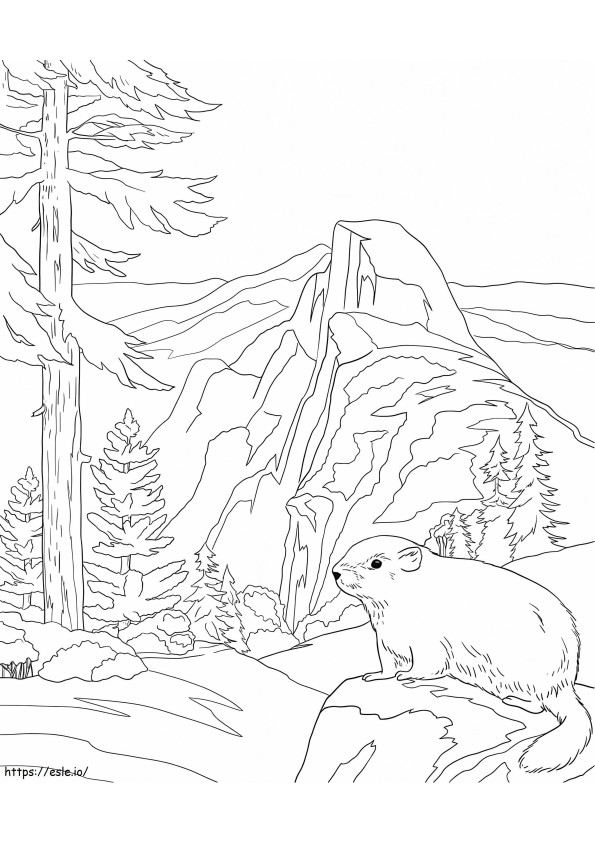 Coloriage Parc National de Yosemite à imprimer dessin