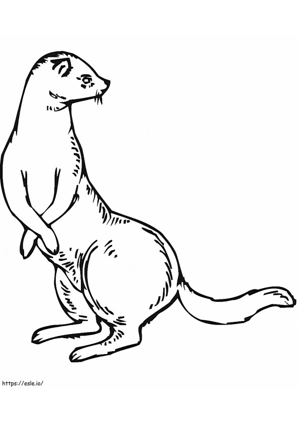 Normal Weasel coloring page