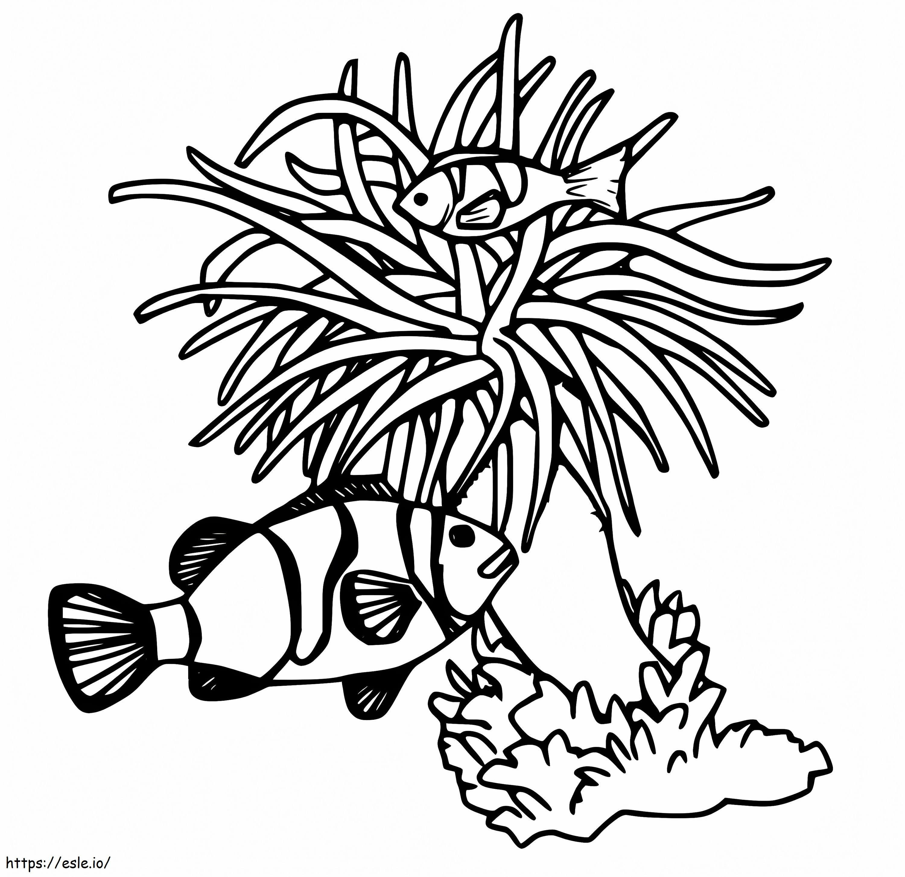 Sea Anemone And Fishes coloring page