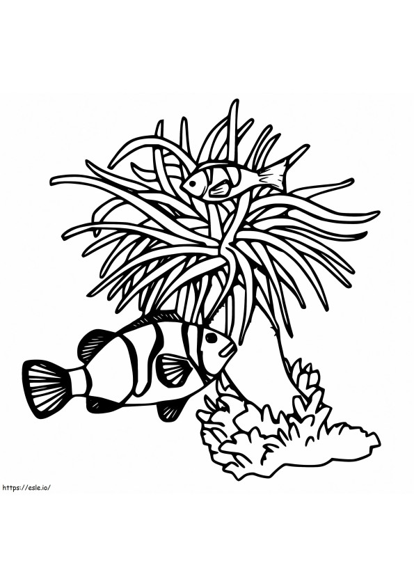 Sea Anemone And Fishes coloring page