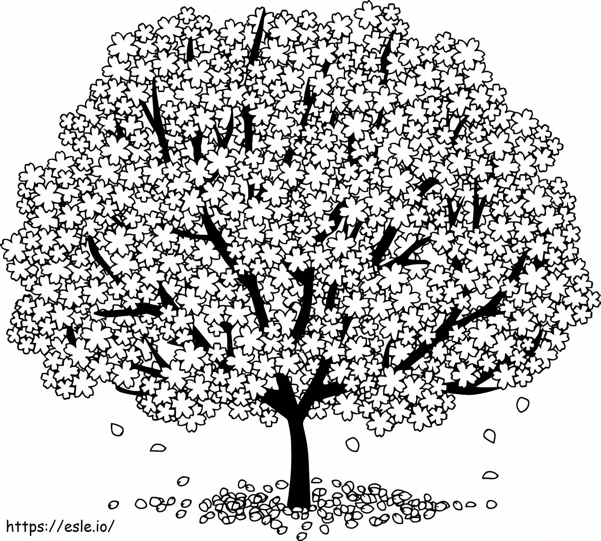 Beautiful Cherry Blossom Tree coloring page
