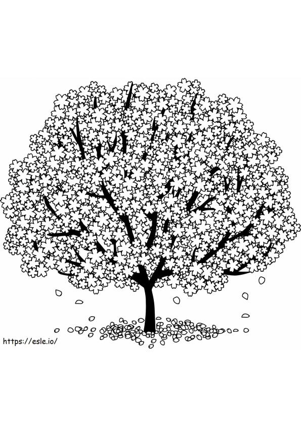 Beautiful Cherry Blossom Tree coloring page