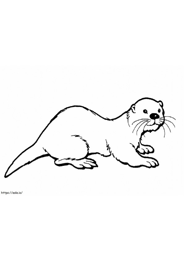 1526458820 Hairy Nosed Otter A4 E1600823143975 coloring page