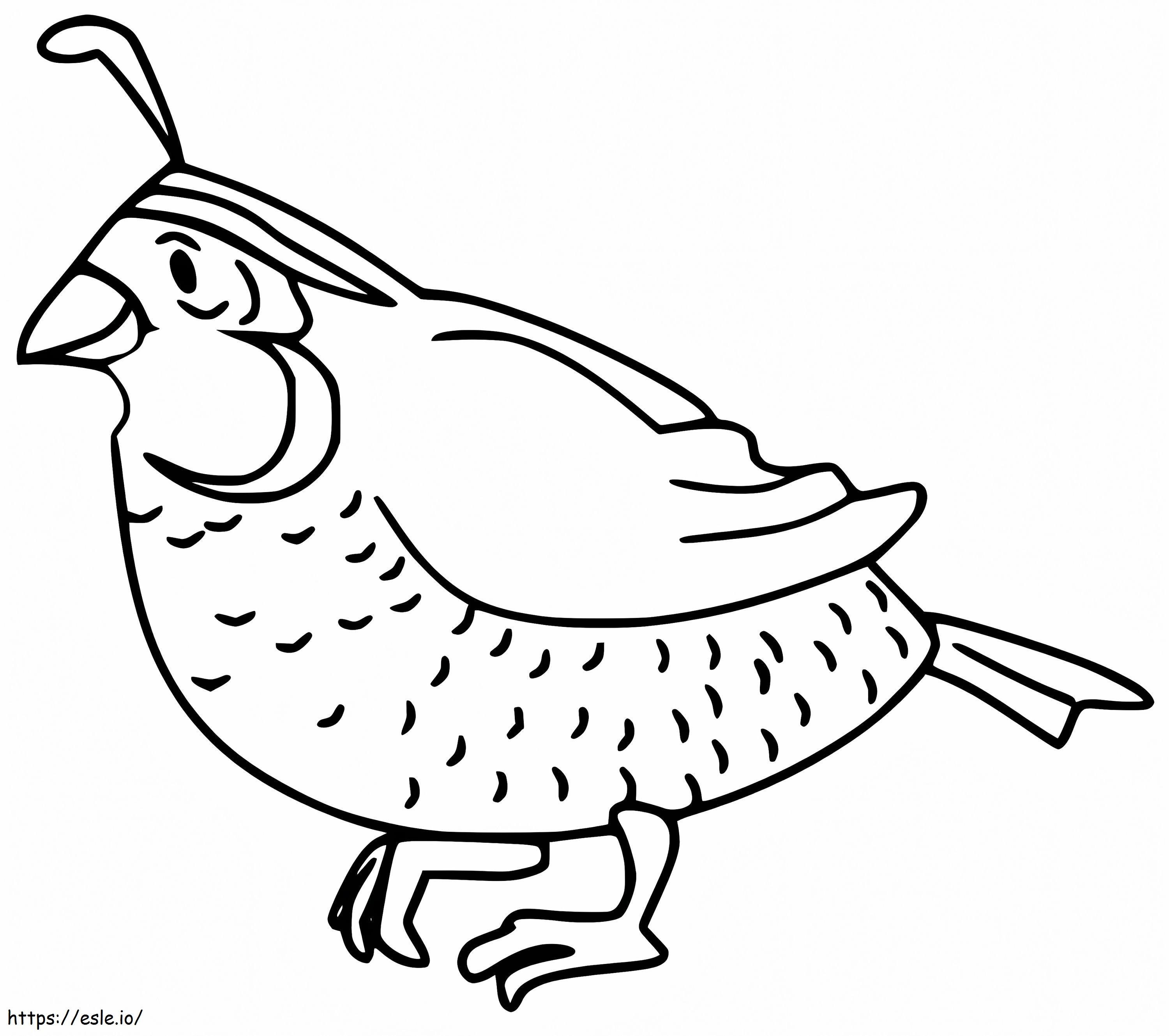 Quail 1 coloring page