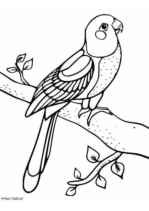 Papuga Na Drzewie kolorowanka