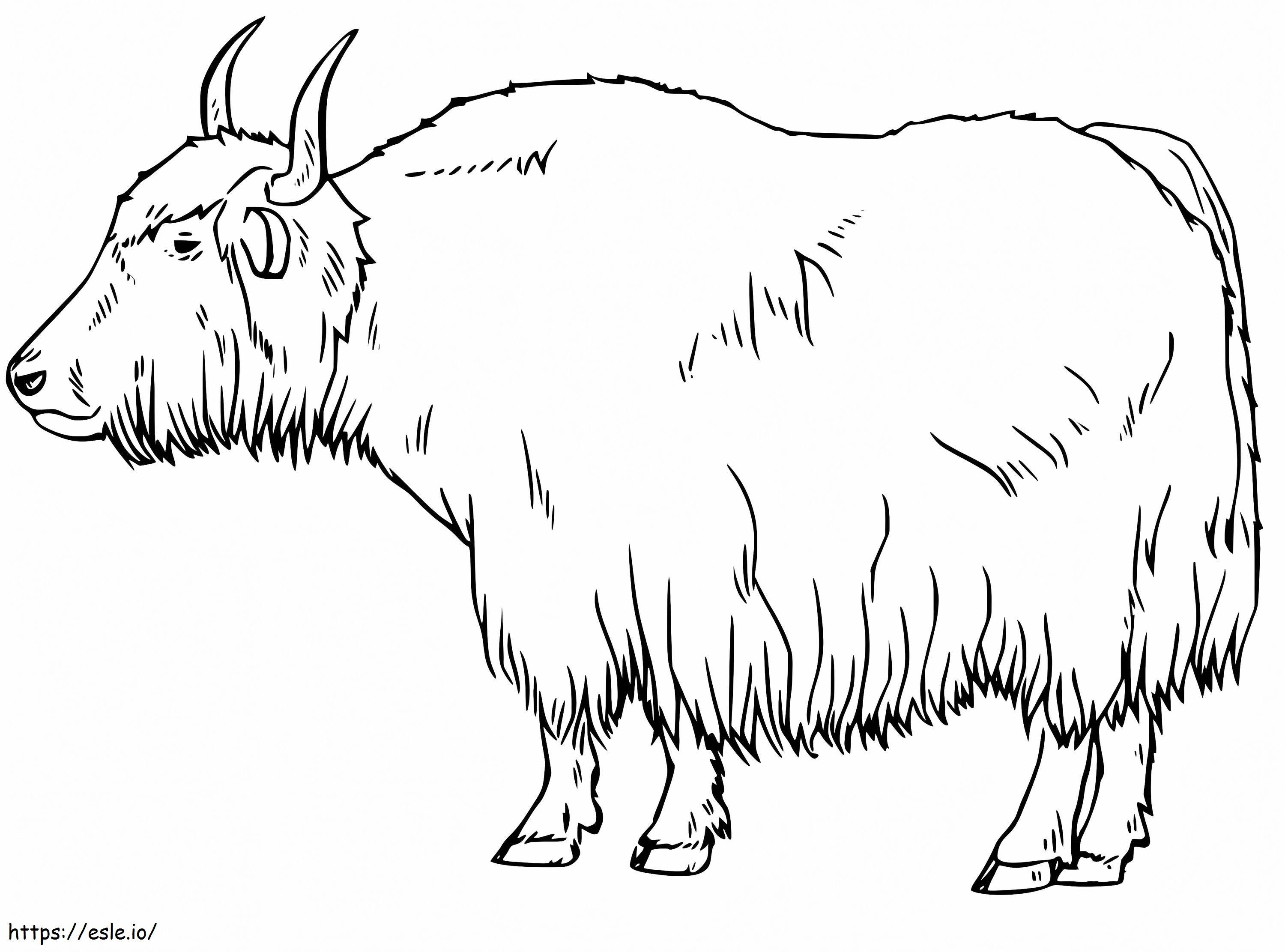 Realistic Yak coloring page