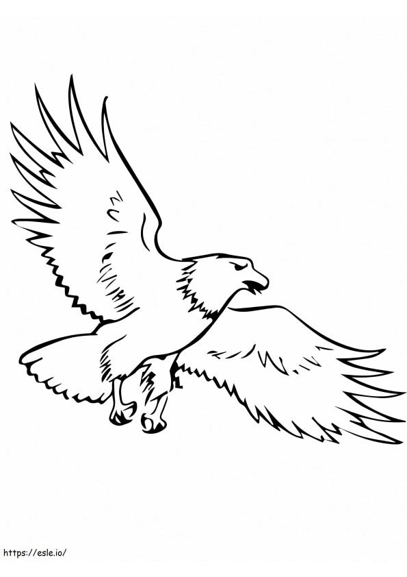 Soaring Bald Eagle coloring page