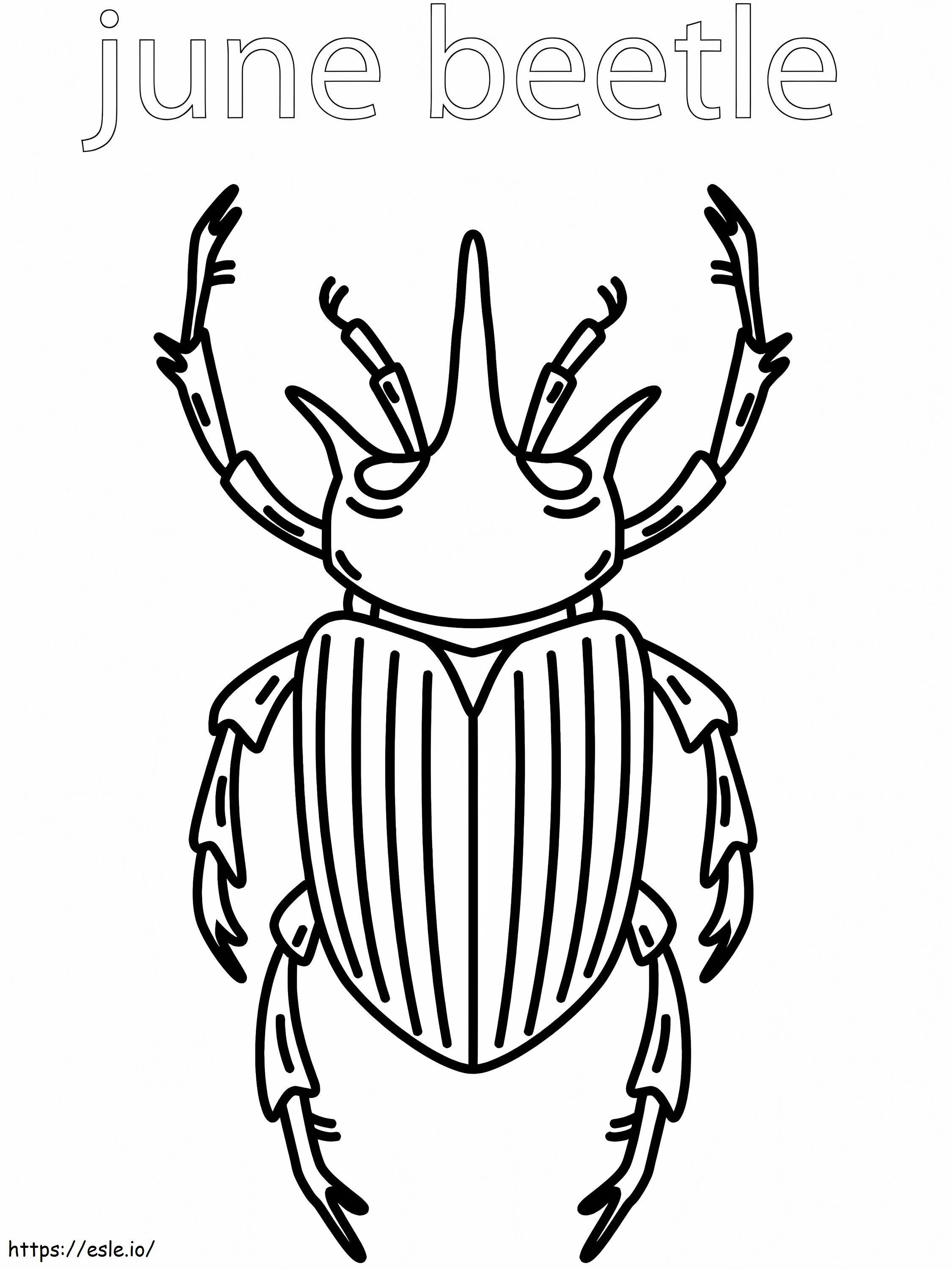 June Beetle de colorat