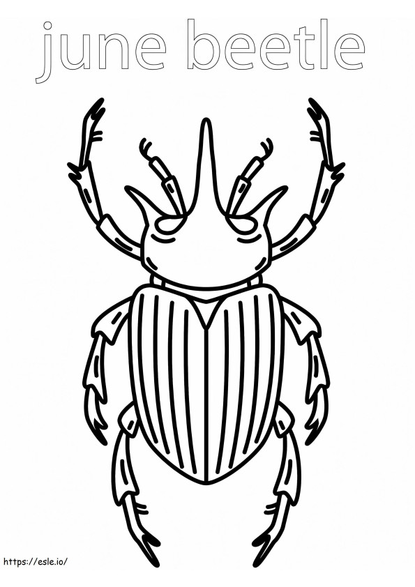 Kumbang Juni Gambar Mewarnai