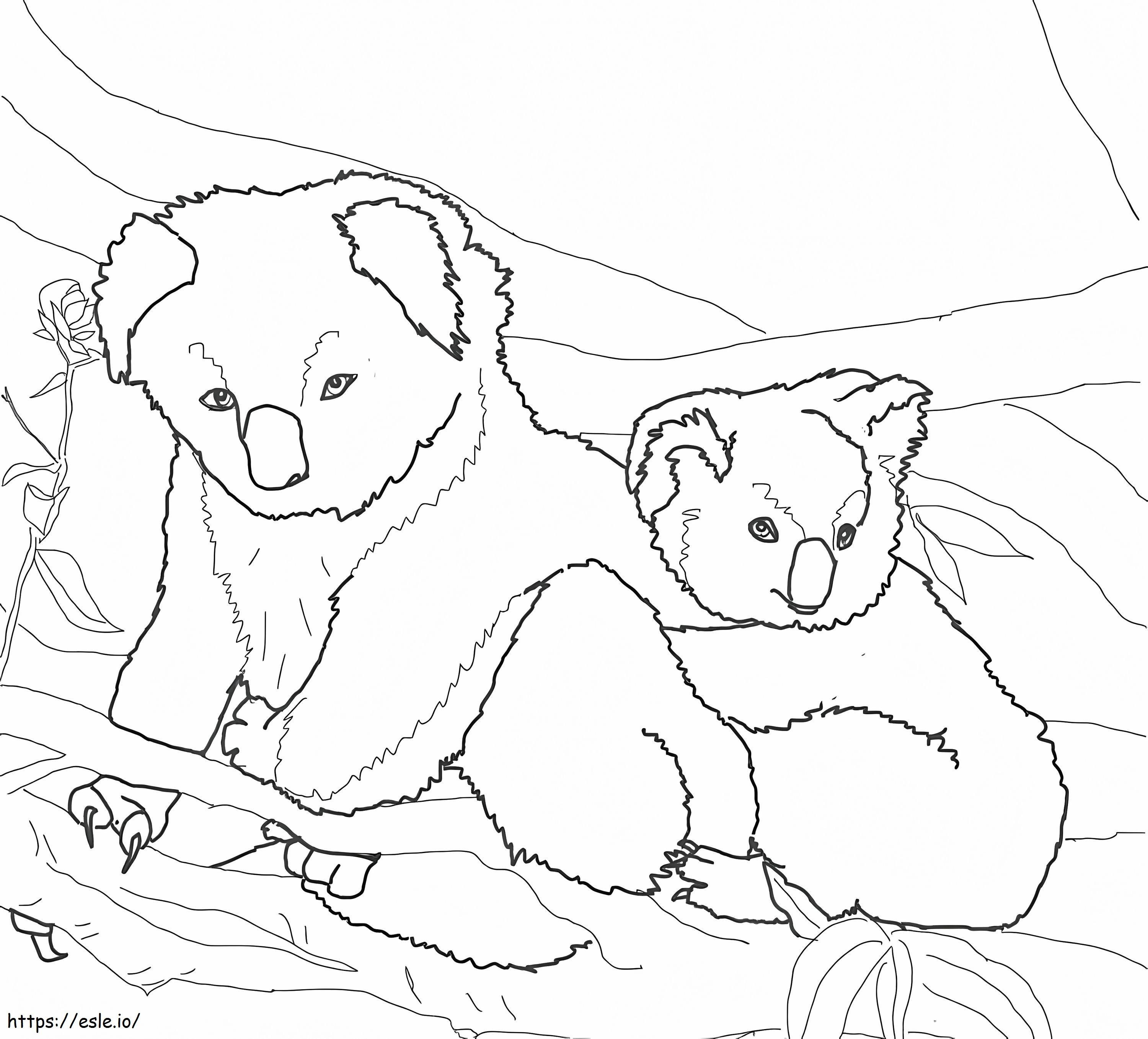 1594428857 Mutter und Baby-Koala ausmalbilder