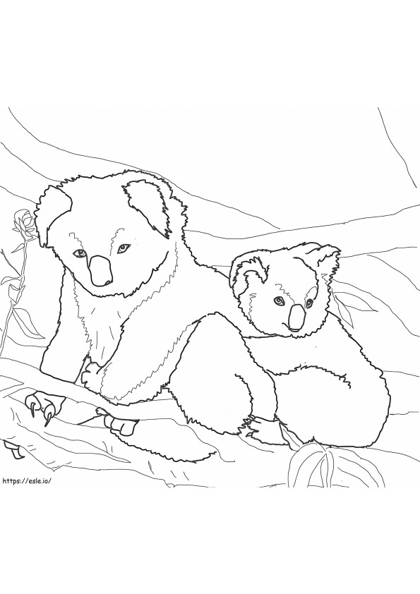1594428857 Mother And Baby Koala coloring page