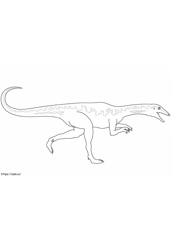 Coloriage Vélociraptor dinosaure à imprimer dessin