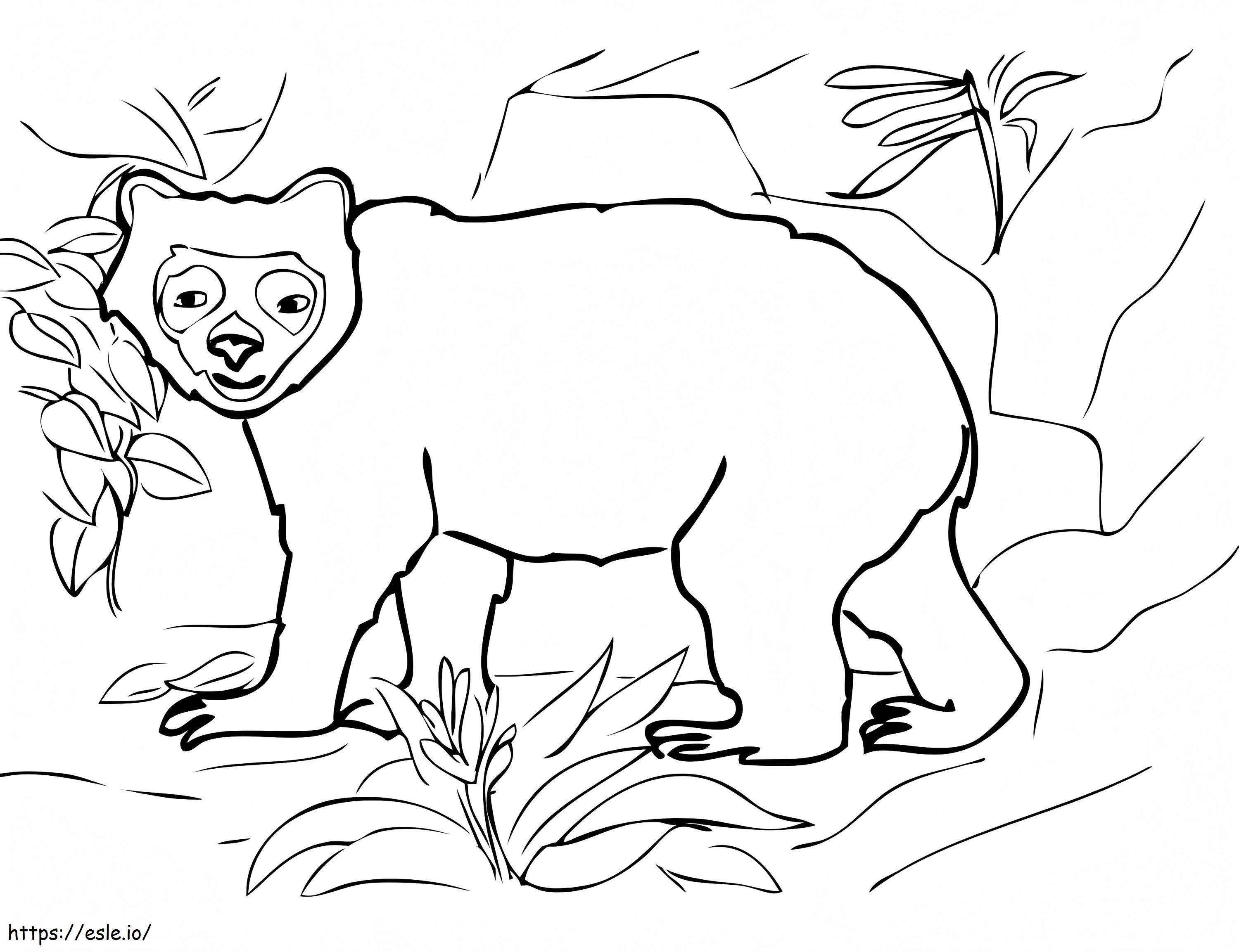 Cara engraçada de urso para colorir