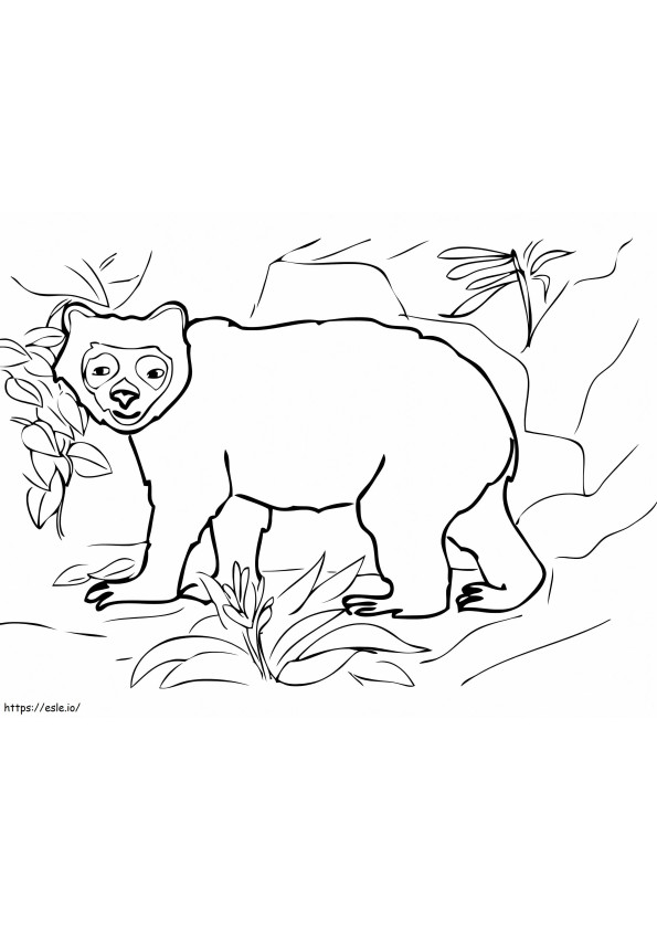 Cara engraçada de urso para colorir