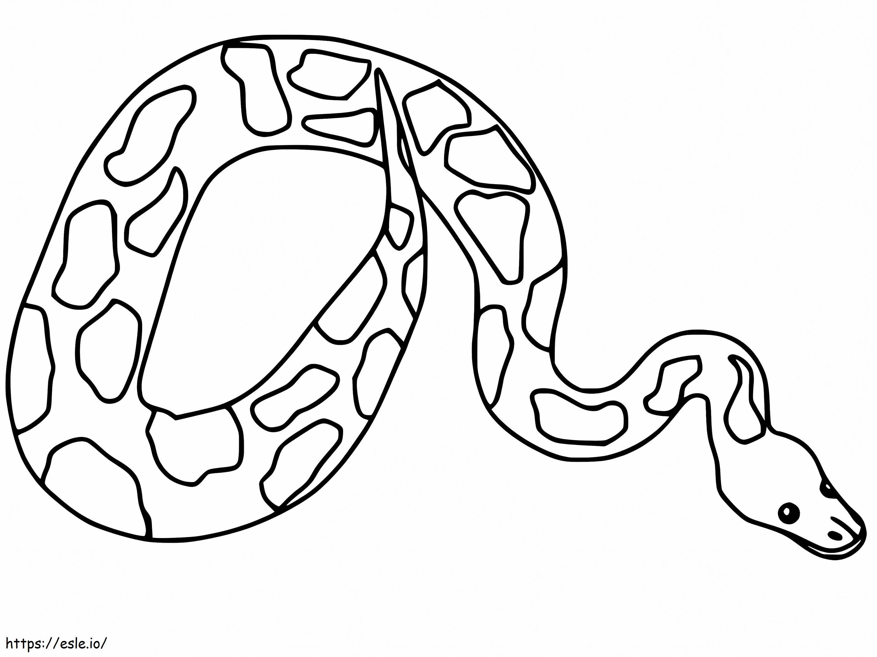 Coloriage Anaconda adorable à imprimer dessin