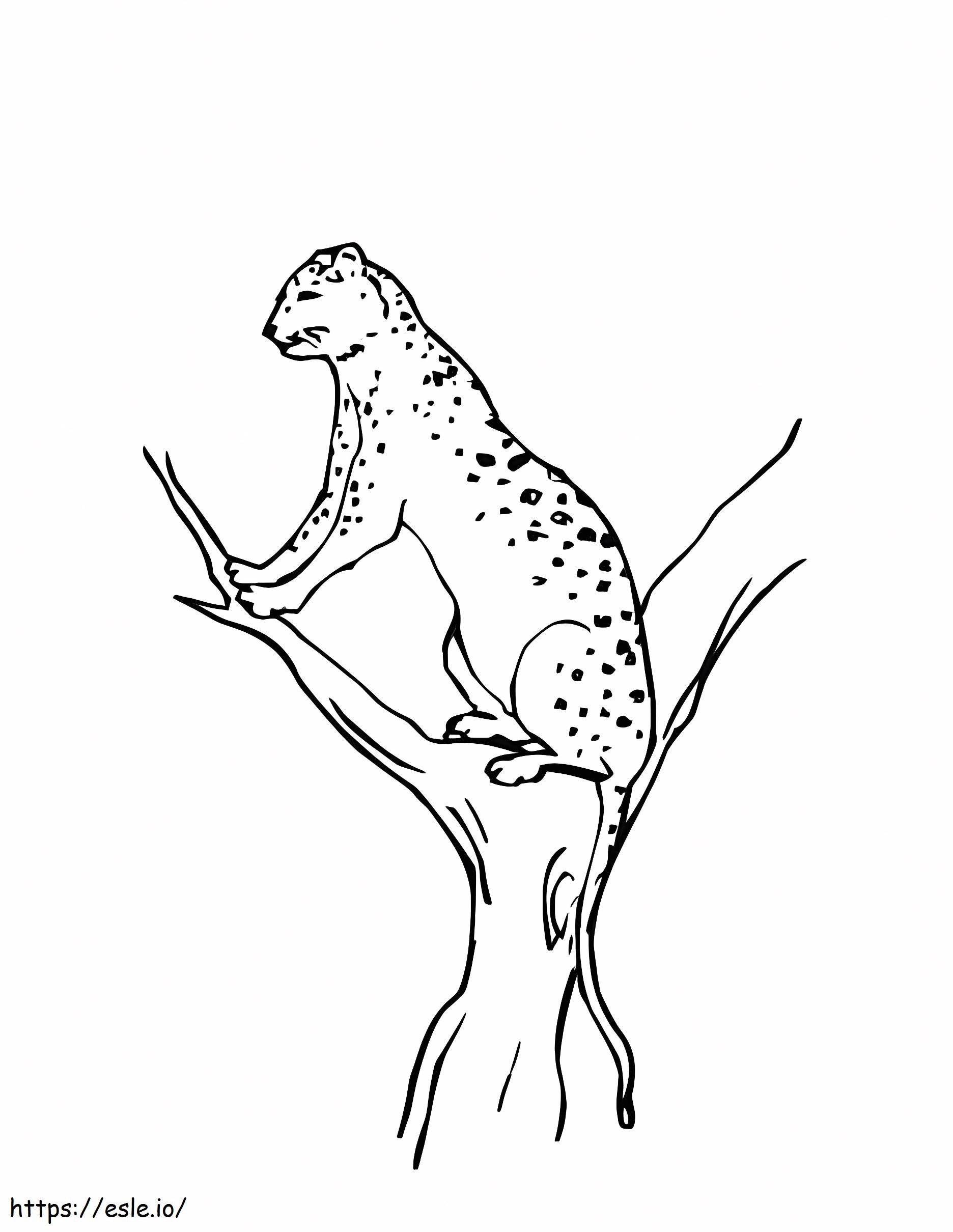Leopardo da neve no galho de árvore para colorir