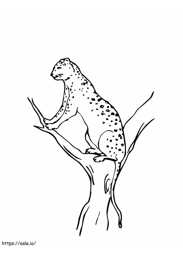 Leopardo de las nieves en la rama de un árbol para colorear