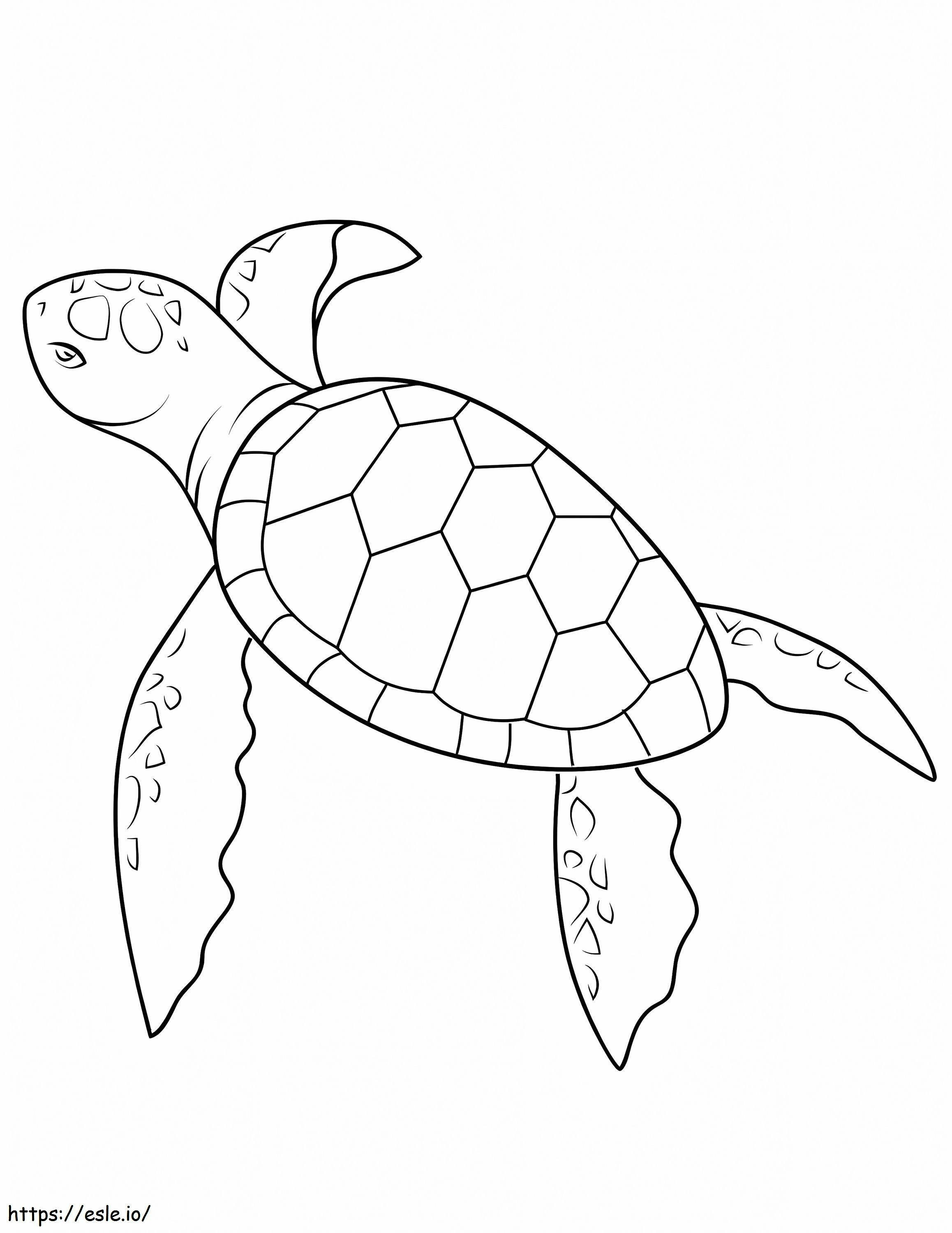 Bebê tartaruga marinha para colorir