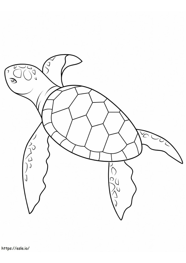 Coloriage Bébé tortue de mer à imprimer dessin