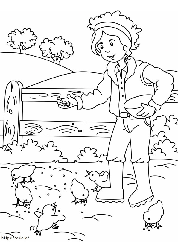 Coloriage Agriculteur nourrissant des poussins à imprimer dessin