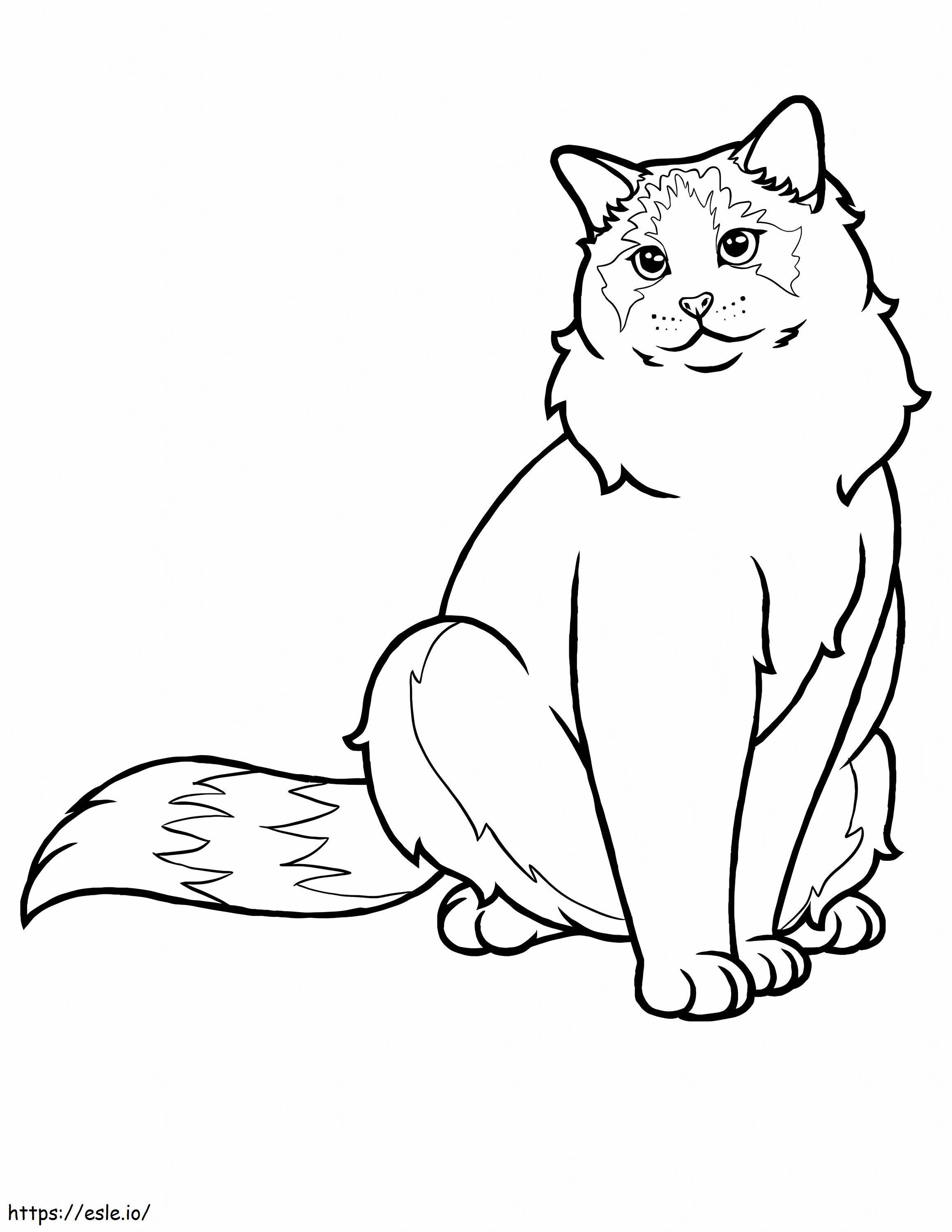 ラグドール猫 ぬりえ - 塗り絵