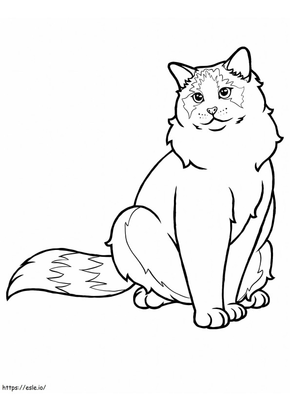 Ragdollowy kot kolorowanka