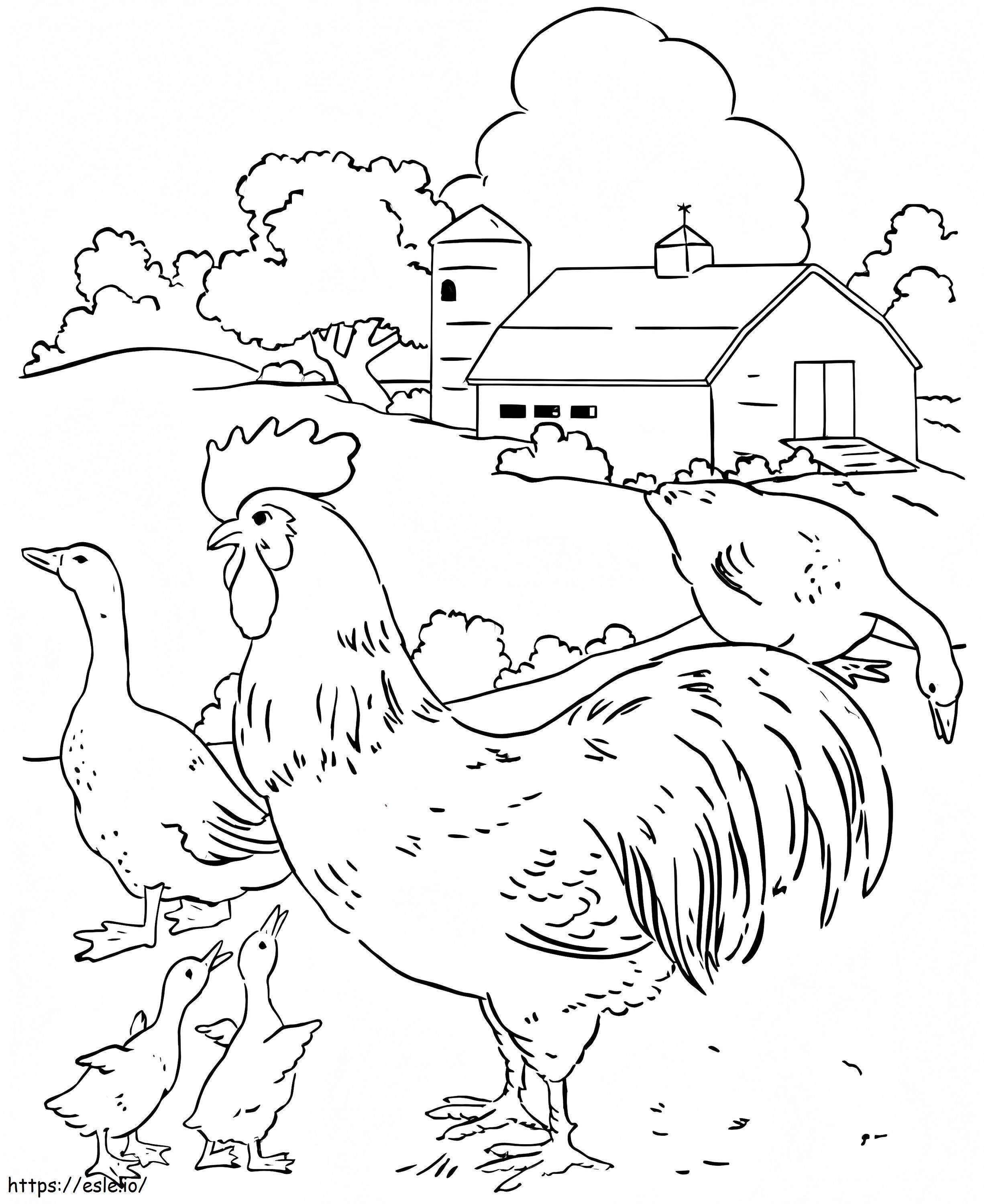 Pena Ayam Dan Bebek Gambar Mewarnai