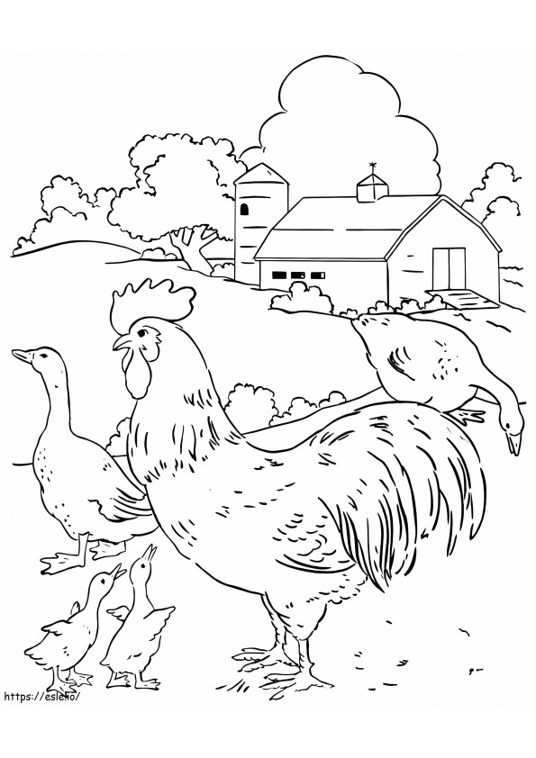 Kana ja ankka kynä värityskuva