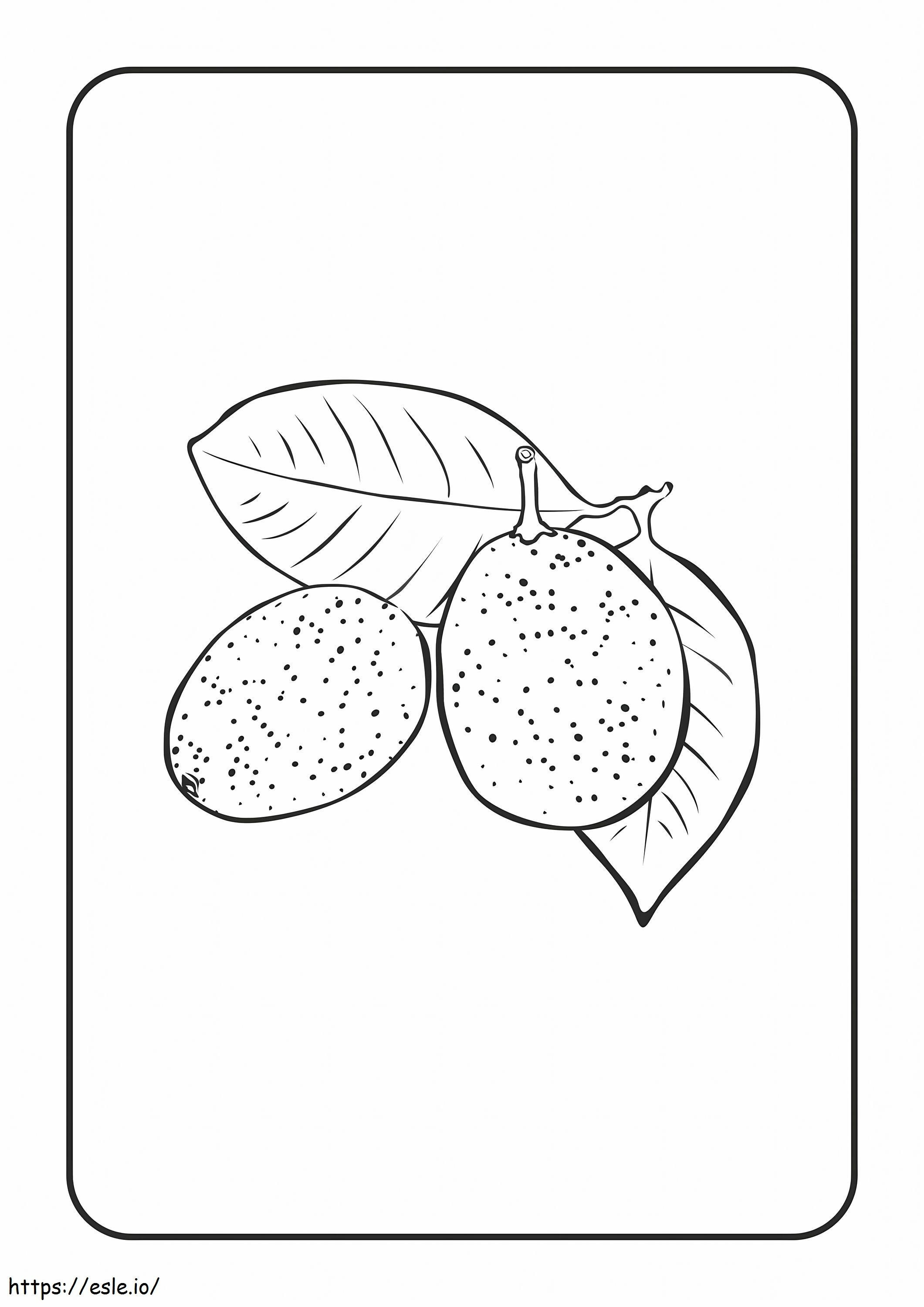 Coloriage Kumquat de base avec feuille à imprimer dessin