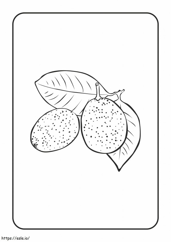 基本の金柑の葉付き ぬりえ - 塗り絵