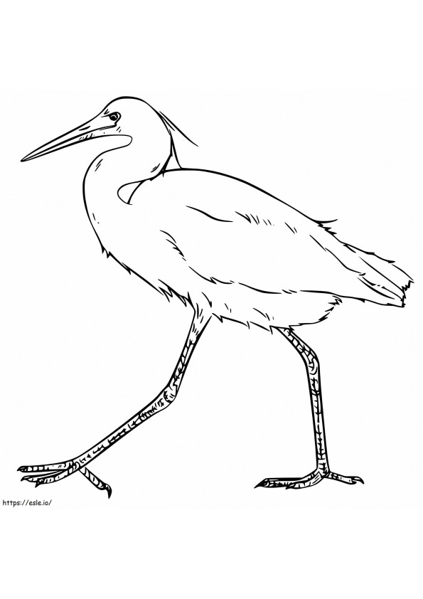 Coloriage Ibis à pied à imprimer dessin