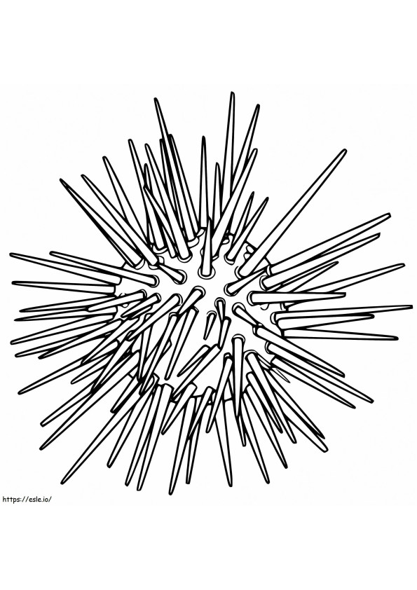 Free Sea Urchin coloring page