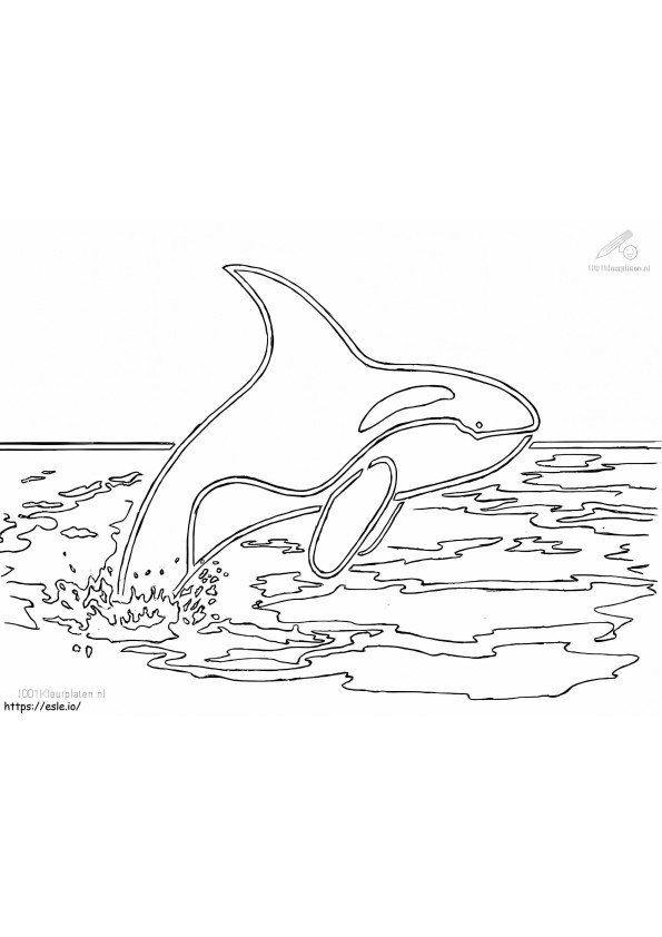 Balena ucigașă sărind de colorat