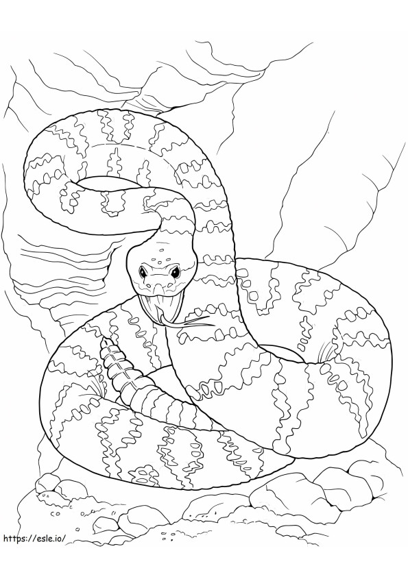 Niebezpieczny wąż kolorowanka