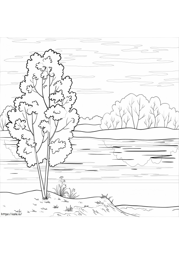木と川 ぬりえ - 塗り絵