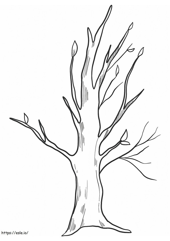 Free Fall Tree coloring page