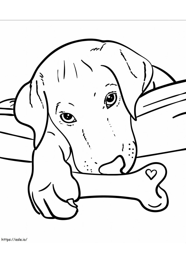 Dog With Bone coloring page