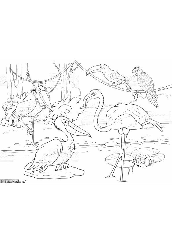 African Birds In The Zoo coloring page
