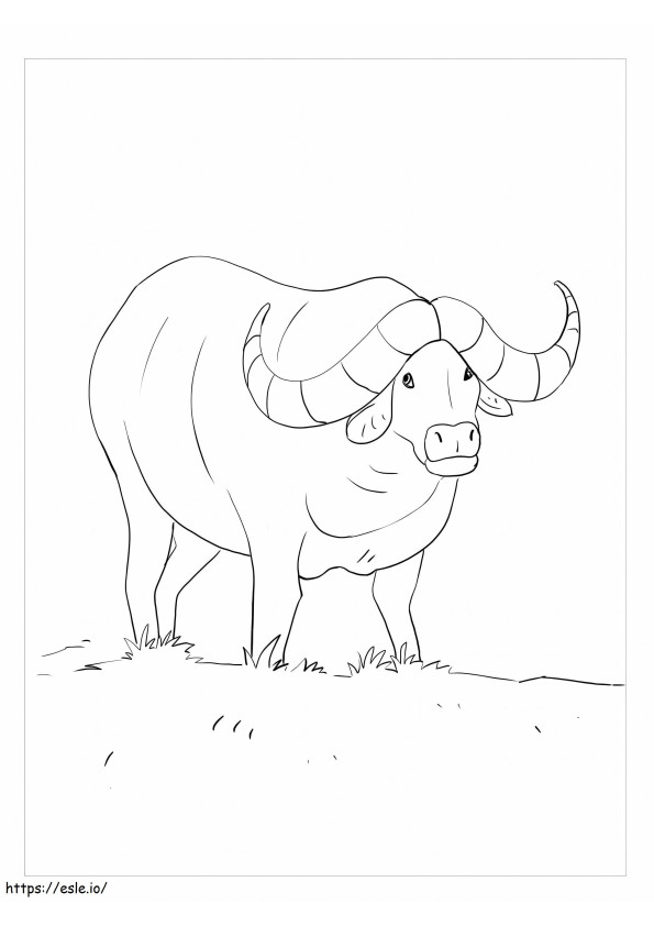 Sweet Buffalo coloring page