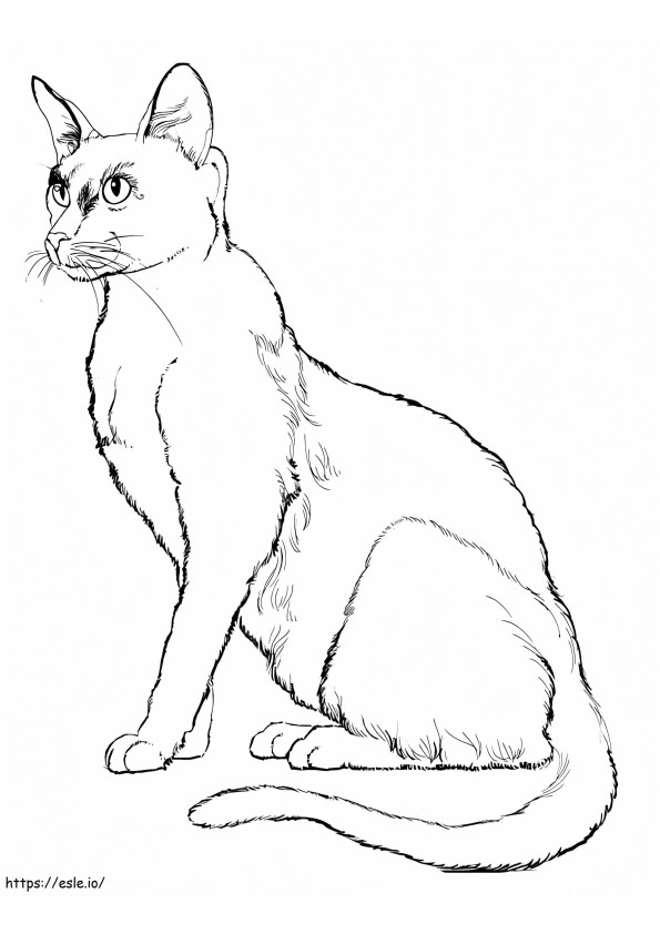 Chat Assis coloring page