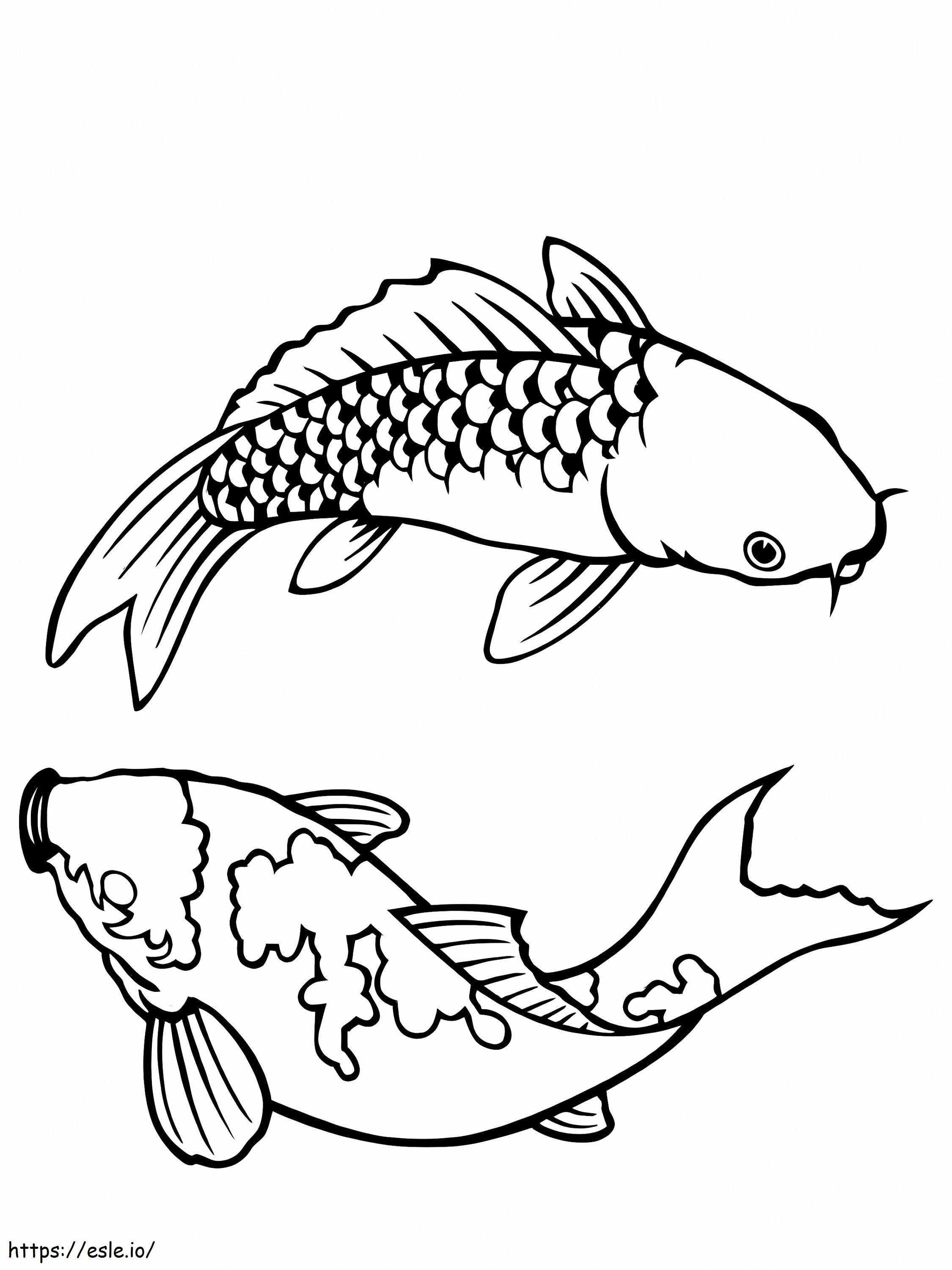 Cuplu Pești Koi de colorat