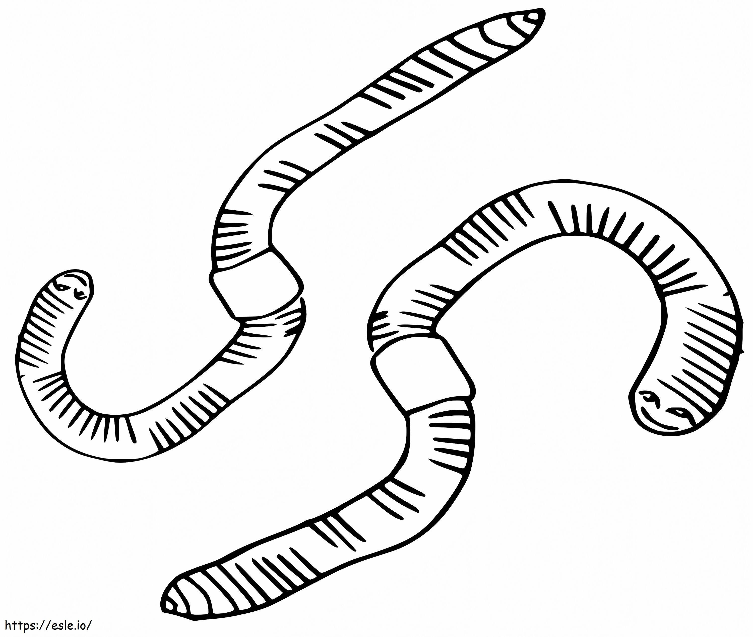 Earthworms coloring page