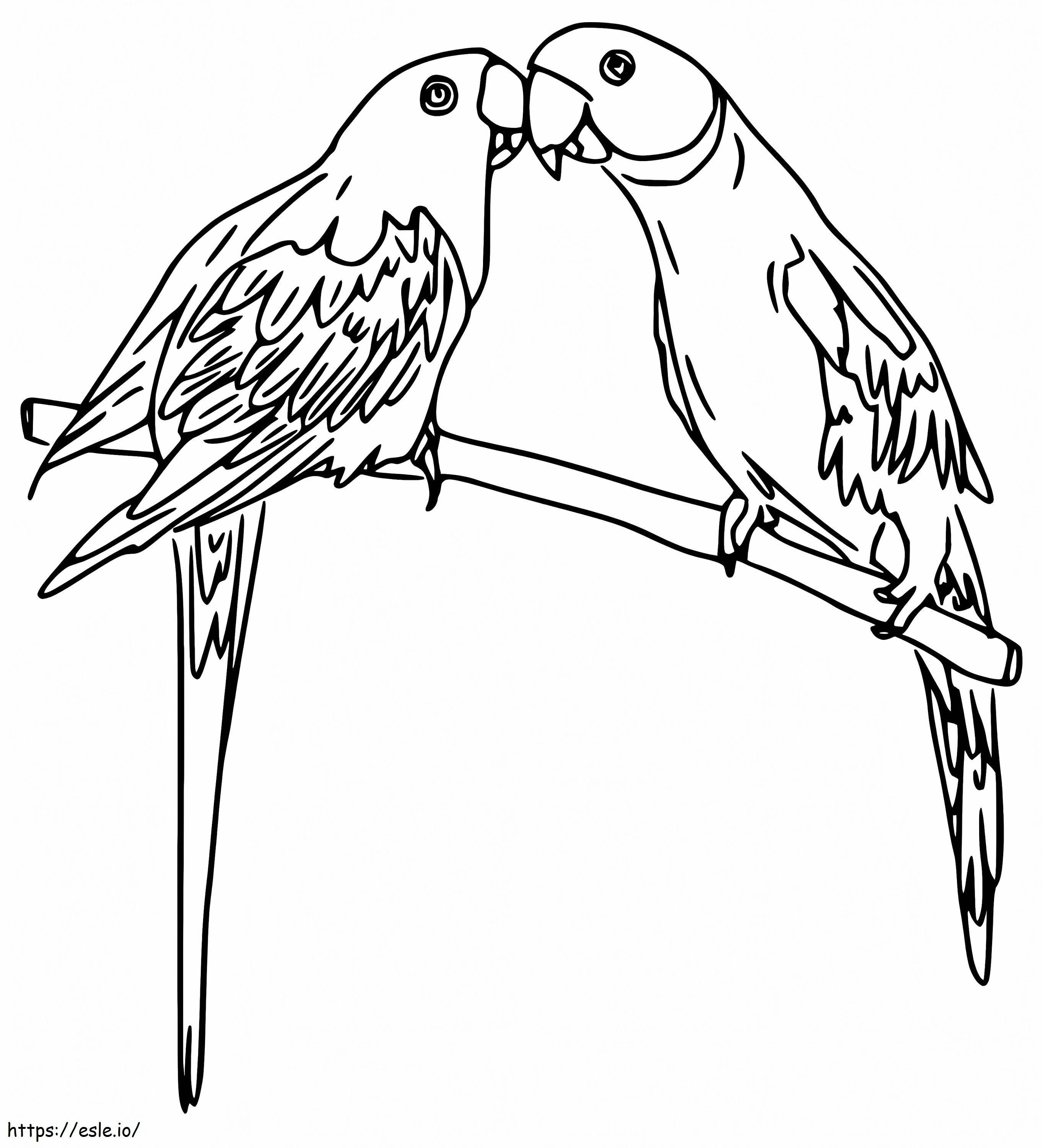 Printable Parakeets coloring page