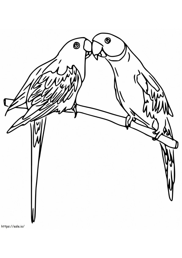 Yazdırılabilir Muhabbet Kuşları boyama