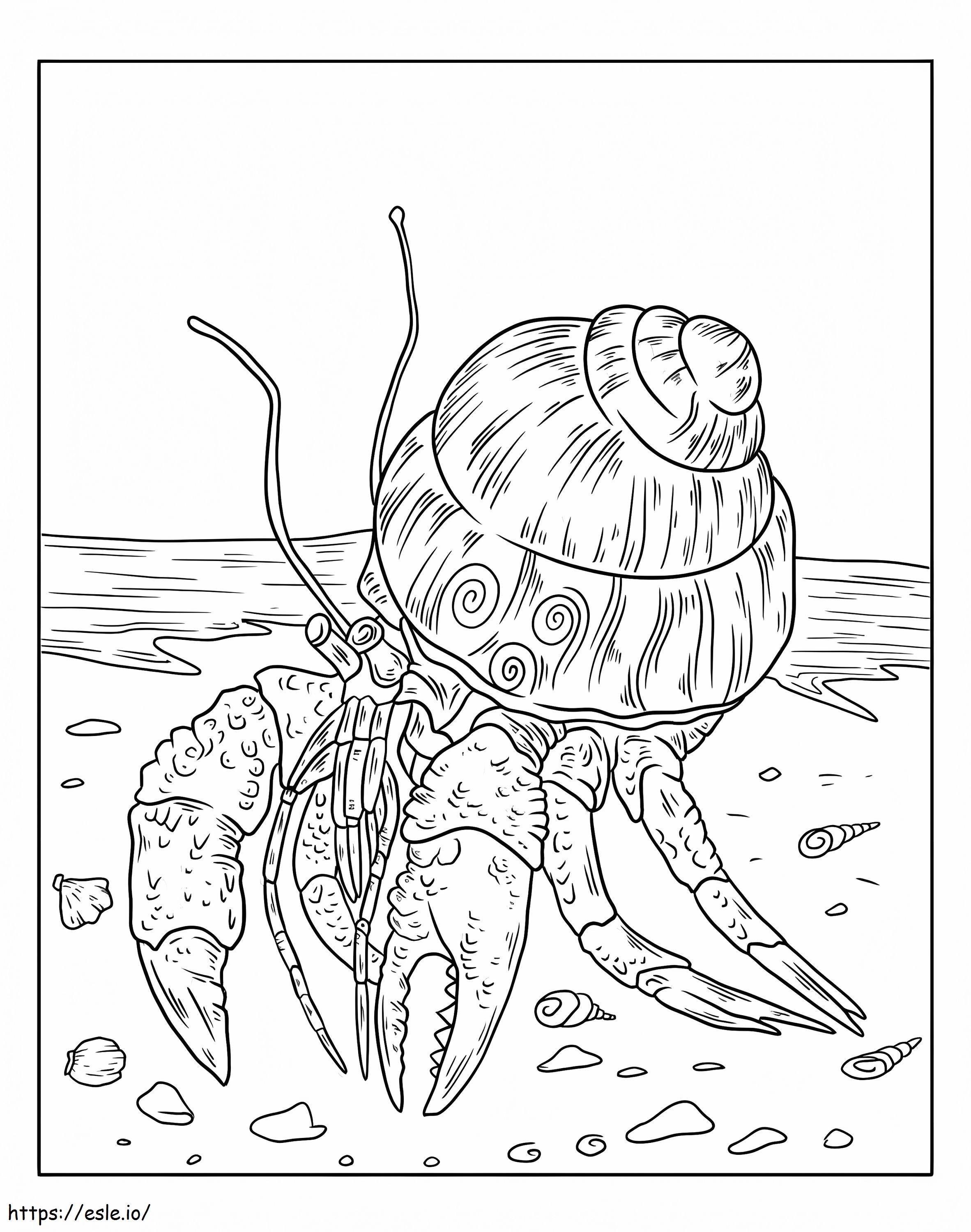 Hermit Crab Walking On The Beach Coloring Page
