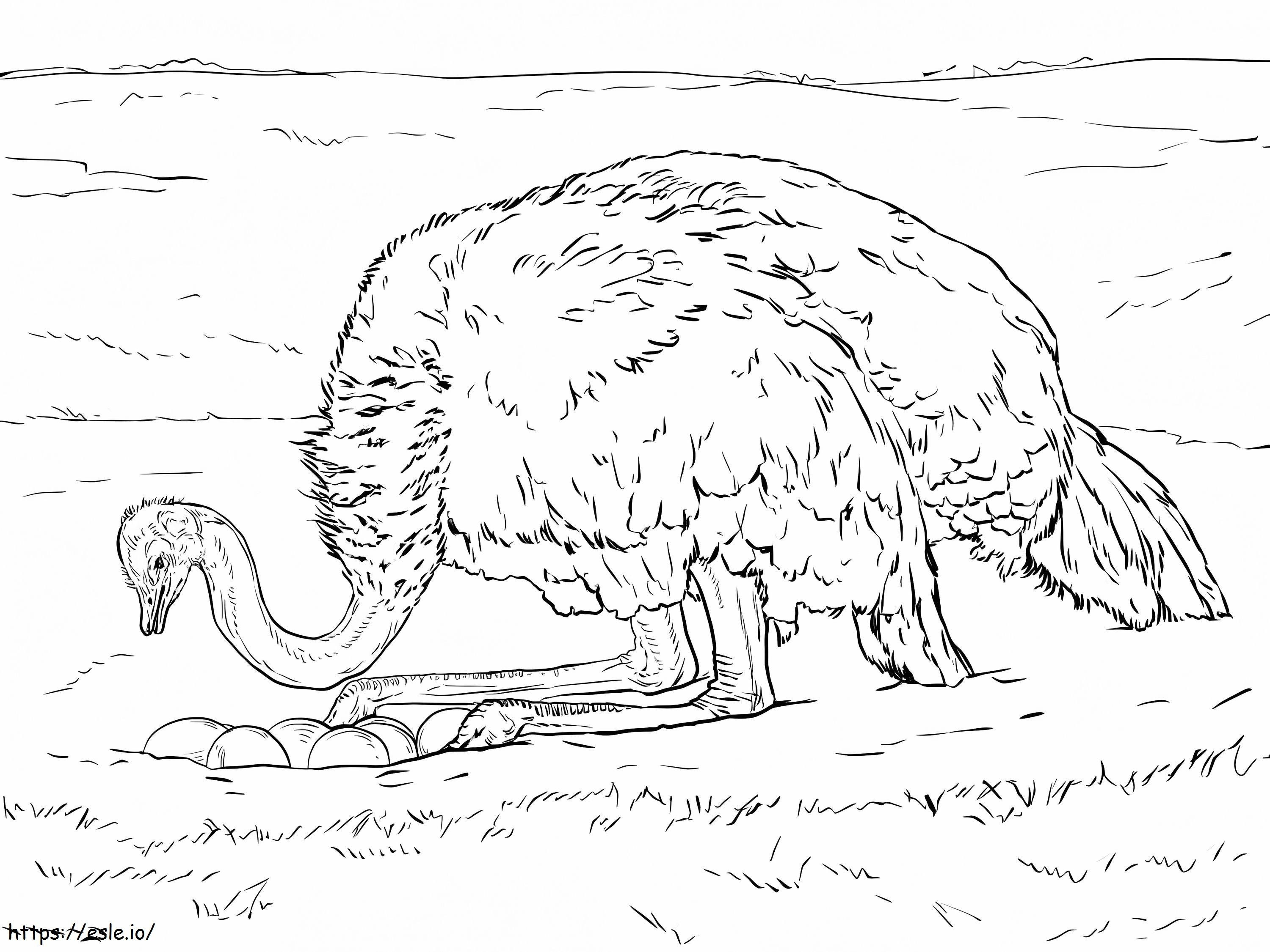 Ostrich With Eggs coloring page