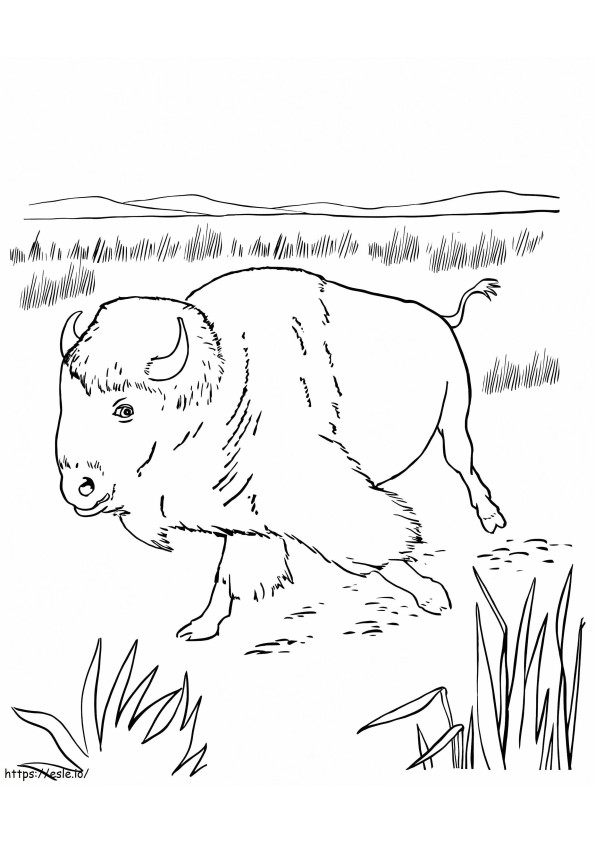 Bison 5 coloring page